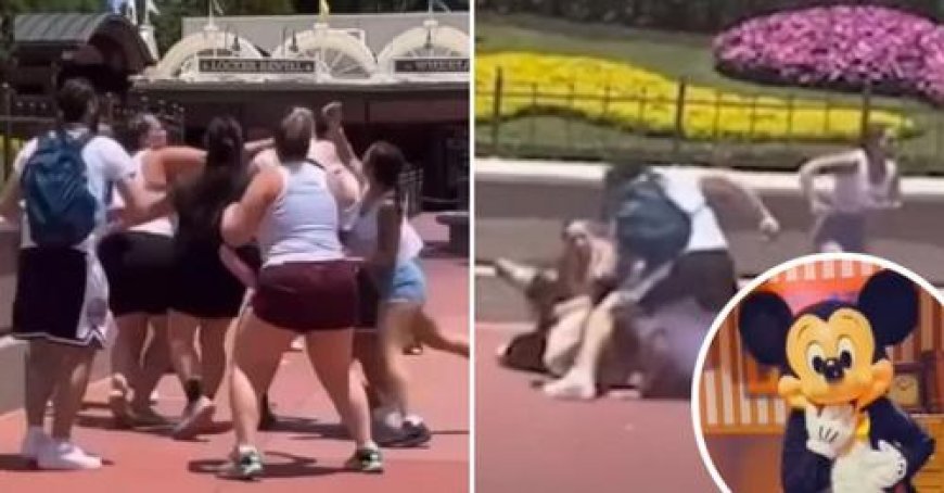 Family Photo At Walt Disney World Takes A Violent Turn