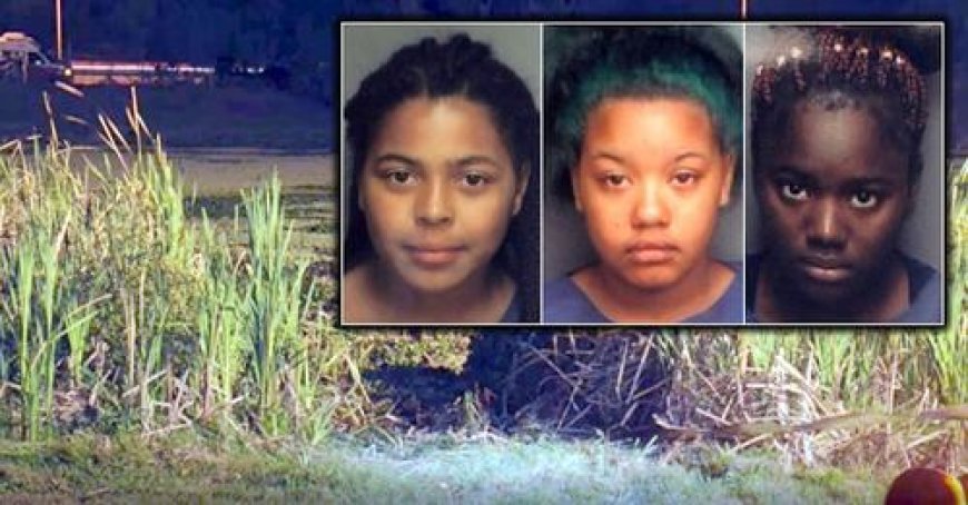 Cops Face Blame After Teen Girls Die Trying To Steal Car