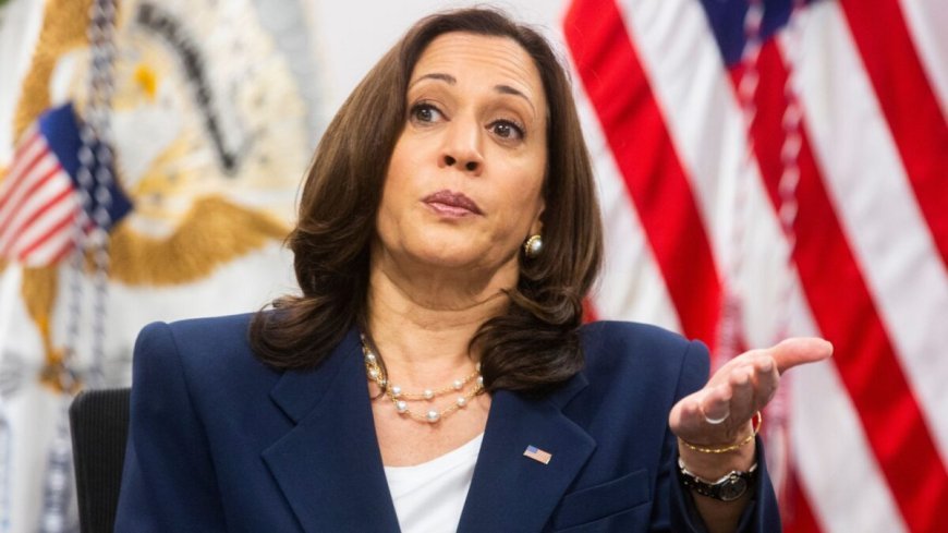 Kamala Harris Faces Major Plagiarism Accusations in Explosive Report